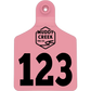 Large Ear Tag - Light Pink