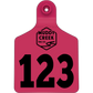 Large Ear Tag - Pink