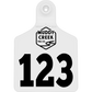 Large Ear Tag - White