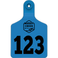 Small Ear Tag - Blue