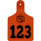 Small Ear Tag - Orange