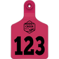 Small Ear Tag - Pink